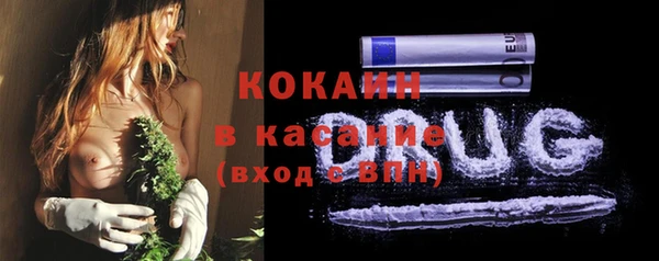 тгк Ладушкин