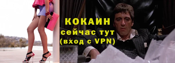 сатива Лагань