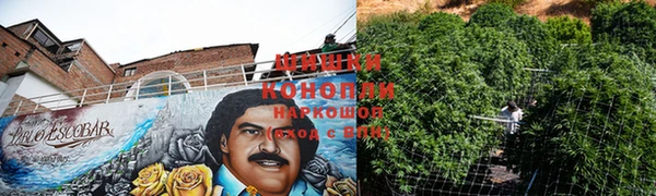 ПСИЛОЦИБИНОВЫЕ ГРИБЫ Лабытнанги
