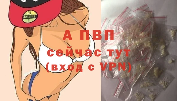 тгк Ладушкин