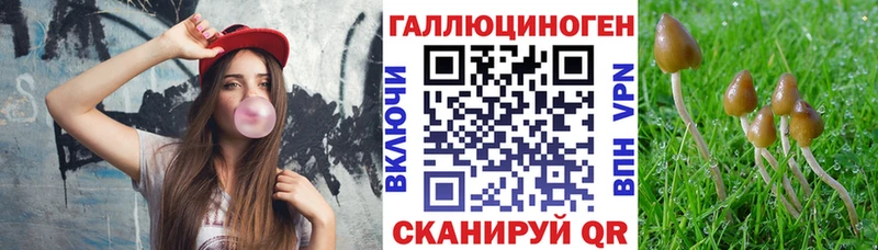 darknet какой сайт  мега ONION  Циолковский  Псилоцибиновые грибы мухоморы 
